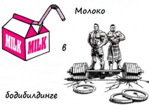 moloko-v-bodibildinge